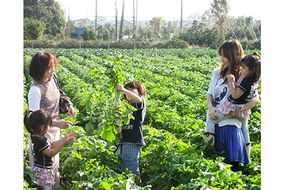 農園収穫体験チケット (お土産にお米1kg付き)｜農業体験 農作業 野菜 米 [0627]