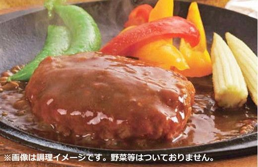 【総本家肉のあさの】近江牛ハンバーグ【600ｇ（120ｇ×5個）】【AE14U】