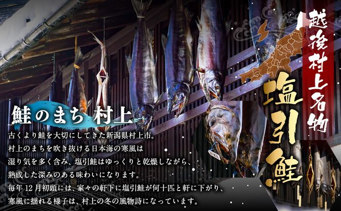 A4020 塩引鮭切り身7切