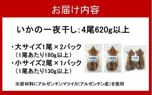 お試しサイズで一人暮らしにも！肉厚烏賊の一夜干し4尾（620g以上）_2433R