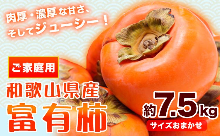 [先行予約][ご家庭用] 和歌山産 富有柿 約 7.5kg サイズおまかせ 厳選館[2026年11月上旬-12月上旬頃出荷]和歌山県 日高町 柿 カキ フルーツ ジューシー---iwsh_gsk172_11j12j_25_21000_75---
