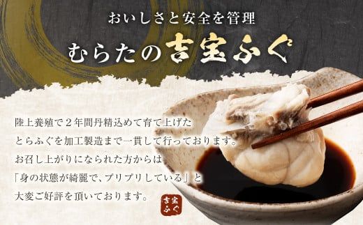 〈お一人様用〉とらふぐ鍋セット 吉宝ふぐ『焼きひれ/特製ポン酢/もみじおろし付き』