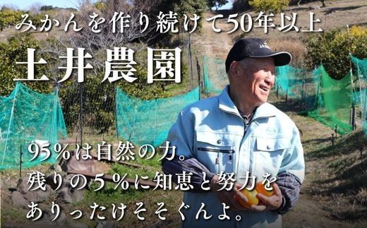 みかん 【先行予約】土井さんのみかん（10kg） ミカン みかん オレンジ おれんじ 柑橘 C3-23