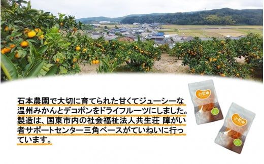 『み乾』 みかんとデコポンのドライフルーツセット（各1袋）_2219R