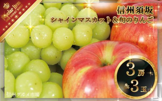 シャインマスカット3房＆旬のりんご3玉 詰め合わせ《信州グルメ市場》■2024年発送■※9月下旬頃～10月下旬頃まで順次発送予定