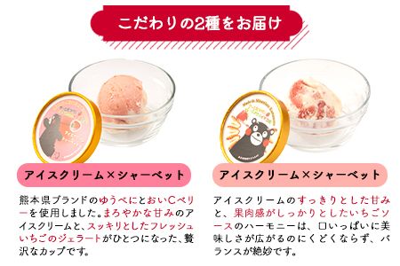 いちごアイス2種×5個セット やっと見つけた！とっておきのイチゴ畑？ 熊本県南阿蘇村《30日以内に出荷予定(土日祝除く)》苺 イチゴ アイス ジェラート---isms_fyatoaice_30d_r7_14000_10p---