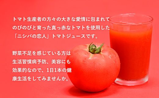 【定期便】完熟生食用トマトの旨味たっぷり！“贅沢濃厚”「ニシパの恋人」トマトジュース有塩 60缶 隔月×年６回 ふるさと納税 人気 おすすめ ランキング トマトジュース トマト とまと 健康 美容 飲みやすい 北海道 平取町 送料無料 BRTH007