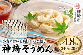 神埼そうめん(240g×20袋) 【そうめん 麺 神埼 めん 素麺 佐賀特産品 かんざき 九州 佐賀 ギフト 贈答用 名産品】(H020101)