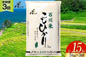 米 定期便 石川米こしひかり【穂立】5kg×3回 総計15kg [中橋商事 石川県 宝達志水町 38601207] コシヒカリ お米 コメ 3ヶ月 白米 精米 おこめ こめ 能登 5kg 5キロ