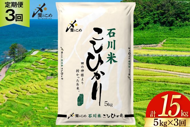 米 定期便 石川米こしひかり【穂立】5kg×3回 総計15kg [中橋商事 石川県 宝達志水町 38601207] コシヒカリ お米 コメ 3ヶ月 白米 精米 おこめ こめ 能登 5kg 5キロ