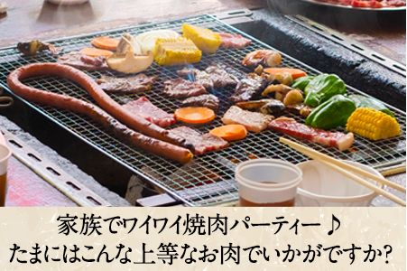 6ヶ月定期便 肥後のあか牛 焼き肉用 約500g×6ヶ月 牛肉 長洲501 熊本 特産 あか牛《お申込み月の翌月から出荷開始》---sn_f501hyktei_23_84000_mo6num1---