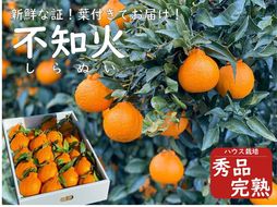 【先行予約】太陽園の葉付き　不知火 　5kg　（ハウス栽培）　完熟　収穫翌日発送！／ORYY推薦 BA21