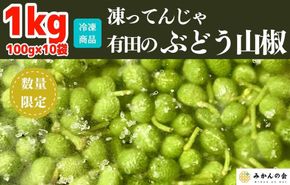 【6月下旬出荷予定】冷凍山椒 凍ってんじゃ ぶどう山椒 1kg ( 100g × 10袋 ) 和歌山県産 【みかんの会】   AX278