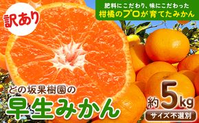 早生 みかん 訳あり みかん 5kg ( サイズ おまかせ ) どの坂果樹園《12月上旬-1月末頃出荷》 和歌山県 日高川町 みかん ご家庭用フルーツ 旬 柑橘 サイズ 不選別 訳ありみかん わけありみかん---wshg_wdonowmk_af121_24_7000_5kg---