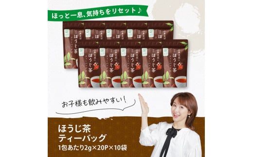 宮崎県産茶　ほうじ茶ティーバッグ20P 10袋セット　【 日本茶 国産茶 ほうじ茶 お湯出し ティーバッグ 】[C08702]