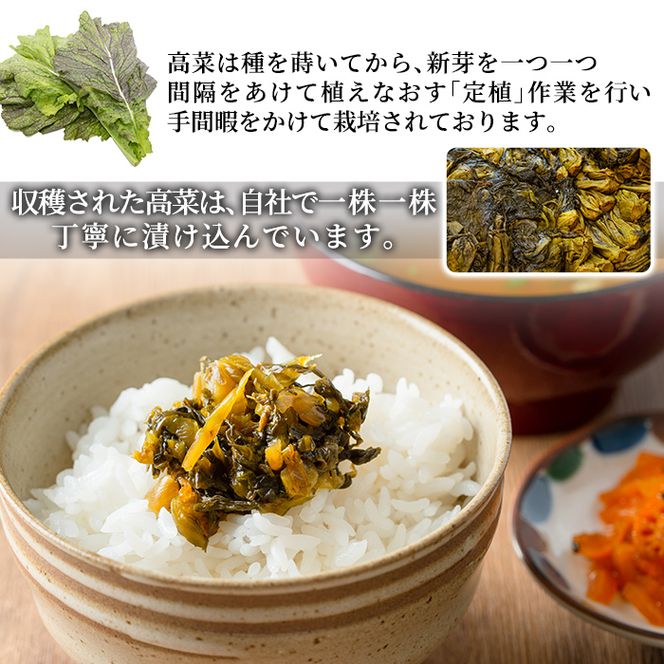 a568 九州産辛子高菜セット4kg(1kg×4パック)【九州新進】国産 九州産 たかな 漬物 漬け物 ご飯のお供 おかず おつまみ おにぎり 常温 常温保存(鹿児島県姶良市) | ふるさと納税サイト「ふるさとプレミアム」 a568 九州産辛子高菜セット4kg(1kg×4パック)【九州新進】国産 九州産 たかな 漬物 漬け物 ご飯のお供 おかず おつまみ おにぎり 常温 常温保存(鹿児島県姶良市) | ふるさと納税サイト「ふるさとプレミアム」