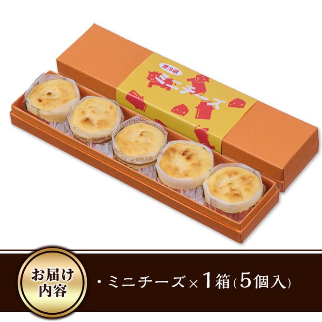 ＜お試し用＞濃厚チーズケーキ (計5個) チーズケーキ チーズ スイーツ アイス 冷凍 お菓子 おやつ 焼き菓子 お取り寄せい 大分県 佐伯市【AJ74】【 (有)ケーキ大使館クアンカ・ド－ネ】