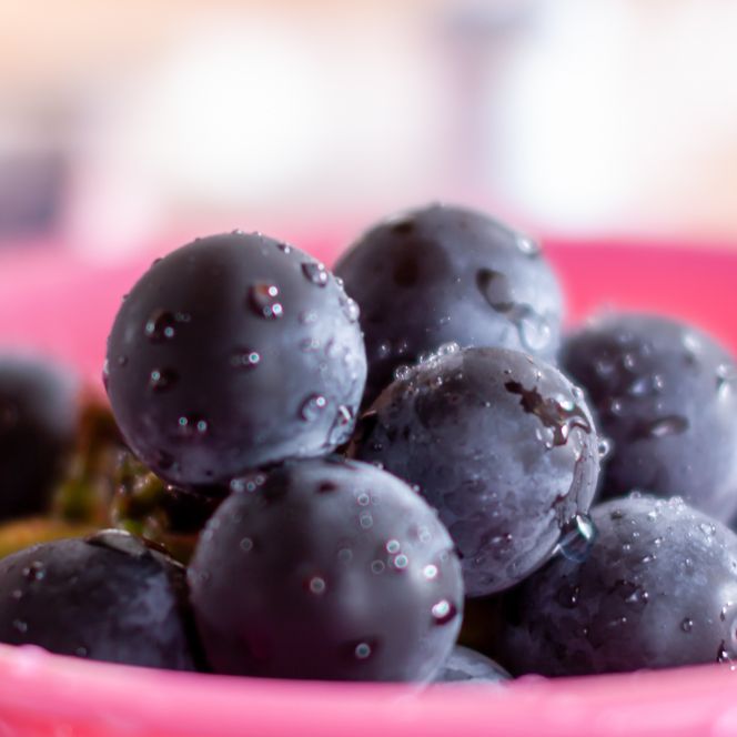 【2026年発送★先行予約】『数量限定』一大産地笛吹市御坂町の藤稔1.1ｋｇ2房入　167-005-26y