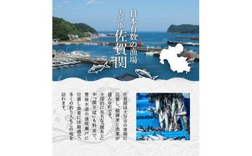 【E22027】関のたい茶漬け藻なかセット（20食分）