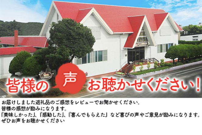 日本ハム 非常食 5年保存 防災食 煮込み ハンバーグ 115g×20個 [日本ハムマーケティング 宮崎県 日向市 452060937] おかず 防災 備え 長期保存 備蓄 保存食 防災 常温 キャンプ 携帯 ニッポンハム