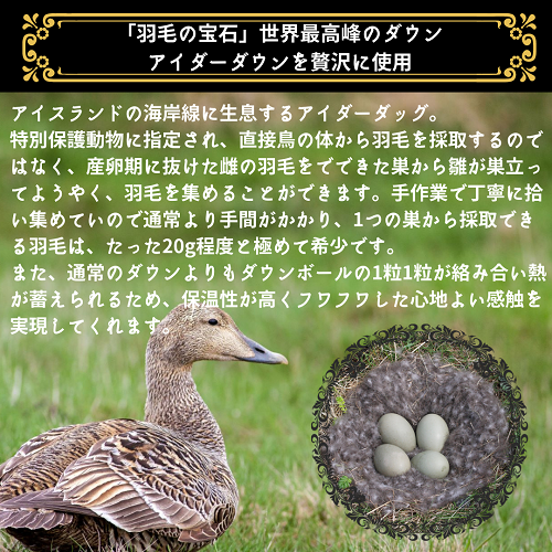 京都金桝>羽毛布団 シングル 極暖 アイダーダウン ポーランド 京都金桝>羽毛布団 シングル 極暖 アイダーダウン ポーランド