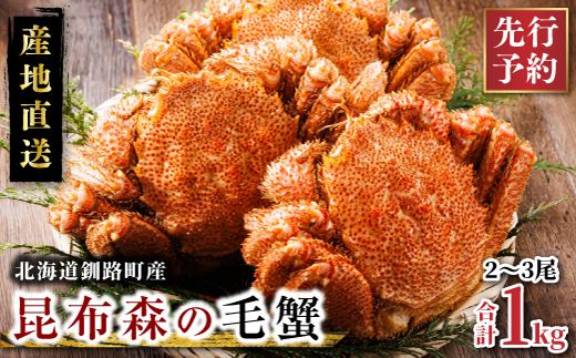 [先行予約] 厳冬が旬 北海道昆布森の 毛蟹 1kg 2〜3尾 [出荷時期 2026年3月から順次出荷予定] ボイル済み 下茹で 冷凍|入手困難 北海道産 毛ガニ ケガニ けがに カニ味噌 希少 魚介類 高級 セット 旬 釜茹で 先行 予約 北海道 釧路町 釧路超 特産品 121-1082-39