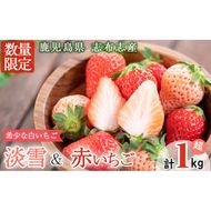 〈先行予約受付中！〉鹿児島県産いちご！志布志発祥白いちご「淡雪」2Pと季節おまかせ赤いちご2Pセット(計1kg・約270g×4P) a5-053