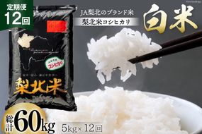米 【定期便 12回 】梨北米 コシヒカリ 5kg 12回 総計 60kg こしひかり コシヒカリ お米 おこめ こめ コメ 精米 61キロ ご飯 ごはん 白米 お弁当 国産 JA 梨北 山梨 [梨北農業協同組合 山梨県 韮崎市 20743674]