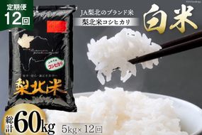 【定期便】【12回 米 定期便 】梨北米 コシヒカリ 5kg×12回 総計60kg [梨北農業協同組合 山梨県 韮崎市 20742741] こしひかり お米 おこめ こめ コメ 精米 60キロ ご飯 ごはん 白米 国産 JA梨北