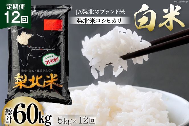 yRBsz y 12 zk RVqJ 5kg 12 v 60kg Ђ RVqJ    R  61L  ͂  ٓ Y JA k R [k_Ƌg R Bs 20743674]