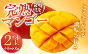 ＜宮崎県産 完熟マンゴー 3L×2玉(合計 約900g)＞※2026年5月上旬～7月中旬までに順次出荷 マンゴー 果物 くだもの フルーツ 完熟 南国