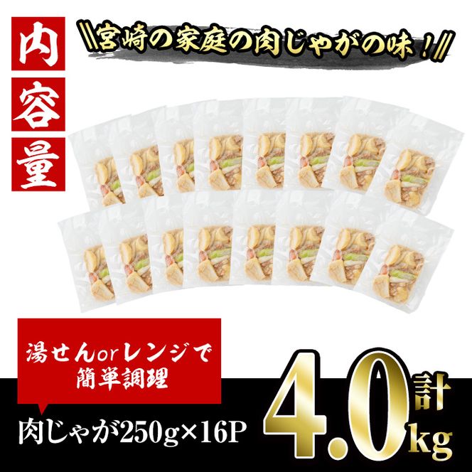 お母ちゃんの肉じゃが (計約4.0kg・約250g×16P)  お肉 豚肉 小分け 使いやすい 便利 簡単 惣菜 調理 時短 冷凍【V-63】【味鶏フーズ】