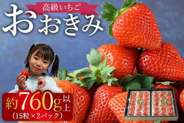 ＜高級いちご「おおきみ」 （15粒入り×2パック 合計約760g以上）＞2025年1月上旬～4月末迄に順次出荷【a0286_sn_x2】