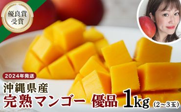 ＜2024年発送＞沖縄県産　完熟マンゴー　1kg　優品