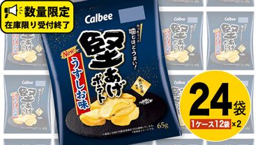 カルビー 堅あげポテト うすしお味 24袋 ( 2ケース ) 65g ポテチ お菓子 おかし 大量 スナック おつまみ ジャガイモ じゃがいも まとめ買い 数量限定 [DA015us]