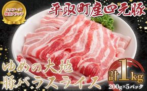 【平取町産四元豚】ゆめの大地豚バラスライス　200g×5パック計1ｋｇ ふるさと納税 人気 おすすめ ランキング 豚肉 肉 豚バラ 北海道 平取町 送料無料 BRTD008