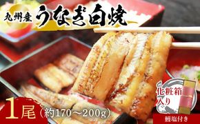 うなぎ 志おや 九州産 うなぎ 白焼 1本 約170～200g 塩 付 【スピード発送】 D-15