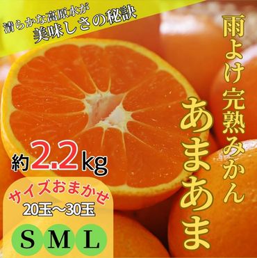 雨よけ完熟みかん「あまあま」　※12月下旬頃から発送　※離島不可