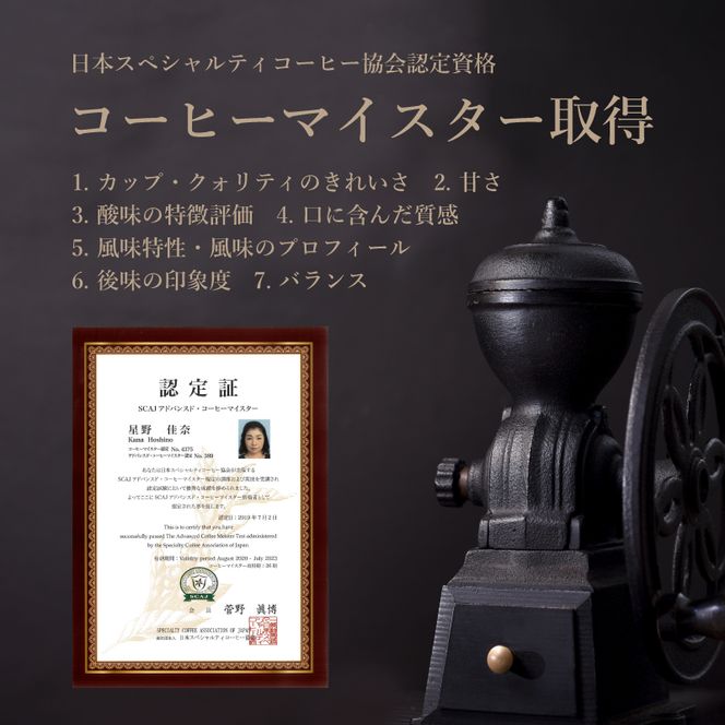 DD007　Music Blend コーヒードリップバッグ詰合せ