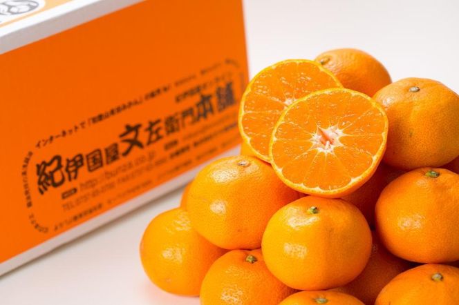 ブランド有田みかん【Ｍサイズ】秀品 5kg／産地直送／薄皮で甘い美味しい和歌山県産／紀伊国屋文左衛門本舗    EH003