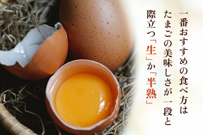 [定期便／12ヶ月] 高原名水卵 30個×12か月連続 豊かな自然で育ったアスタキサンチン含有の高原名水卵【感動の甘さと濃さ】｜こだわり卵 たまご タマゴ 玉子 生卵 鶏卵 高原養鶏場 矢板市産 