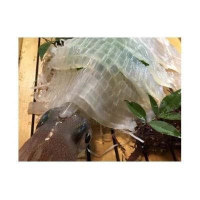 絶品!鐘崎産｢ヤリイカ｣3杯【マルケイ水産】_HA0128