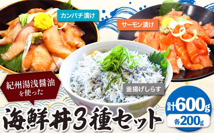 紀州湯浅醤油を使った サーモン と カンパチ の 漬け & 釜揚げ しらす の 海鮮丼 3種 セット 計600g 魚鶴商店 [30日以内に出荷予定(土日祝除く)] 和歌山県 日高町 サーモン カンパチ 釜揚げ しらす 漬け丼 海鮮丼 セット---wsh_fuot31_30d_24_18000_600g---