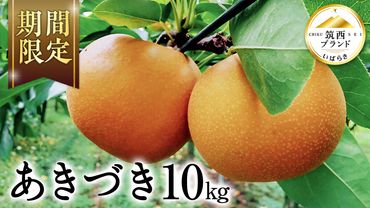 【 JA 北つくば 】 筑西ブランド 認証品 あきづき ( 梨 ) 10kg 果物 フルーツ なし ナシ 和梨 [AE029ci]