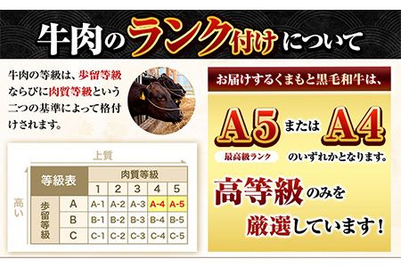 くまもと黒毛和牛 サーロイン リブロース 内モモ 希少部位 500g 牛肉 焼肉用 冷凍 《2026年1月中旬-3月末頃出荷》 くまもと黒毛和牛 黒毛和牛 焼肉 肉 お肉 熊本県 南阿蘇村---mna_fkgsrumky_bc13_r7_12000_500g---