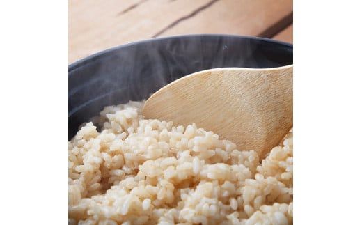 令和7年産】 黒木農園のお米 「キヌヒカリ(玄米)」 5kg 【 米 お 令和7年産】 黒木農園のお米 「キヌヒカリ(玄米)」 5kg 【 米 お