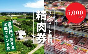 木城町　みやざきサンミート季穣　精肉券　5,000円分　K16_0103