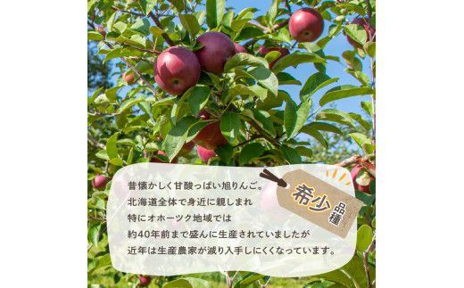 旭りんごのシードル 5本 ( 果物 フルーツ 林檎 りんご リンゴ 飲料類 酒 アルコール 醸造酒 辛口 )【044-0009】