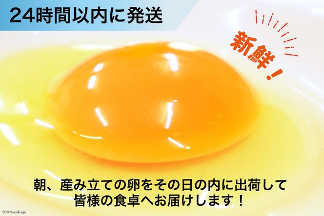 BI026 たっぷり！ 雲仙たまごLサイズ 80個 (75個＋割れ補償5個入り) [ 卵 たまご 生卵 鶏卵 赤卵 玉子 新鮮 塚ちゃん雲仙たまご村 長崎県 島原市 ]