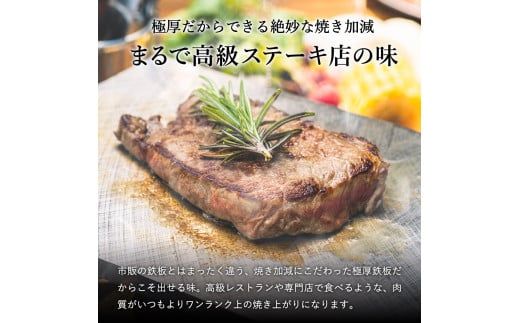 028FS01N.MILL,pan TYPE-Rg （研磨タイプ）極厚鉄板８mm